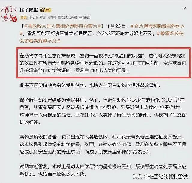 雪豹伤人真相曝光:不是偶遇是送命!当事人撒谎,航拍图还原真相(组图) - 20