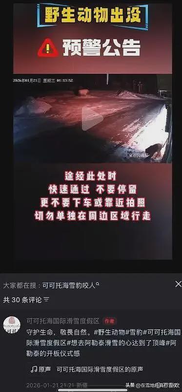 雪豹伤人真相曝光:不是偶遇是送命!当事人撒谎,航拍图还原真相(组图) - 17