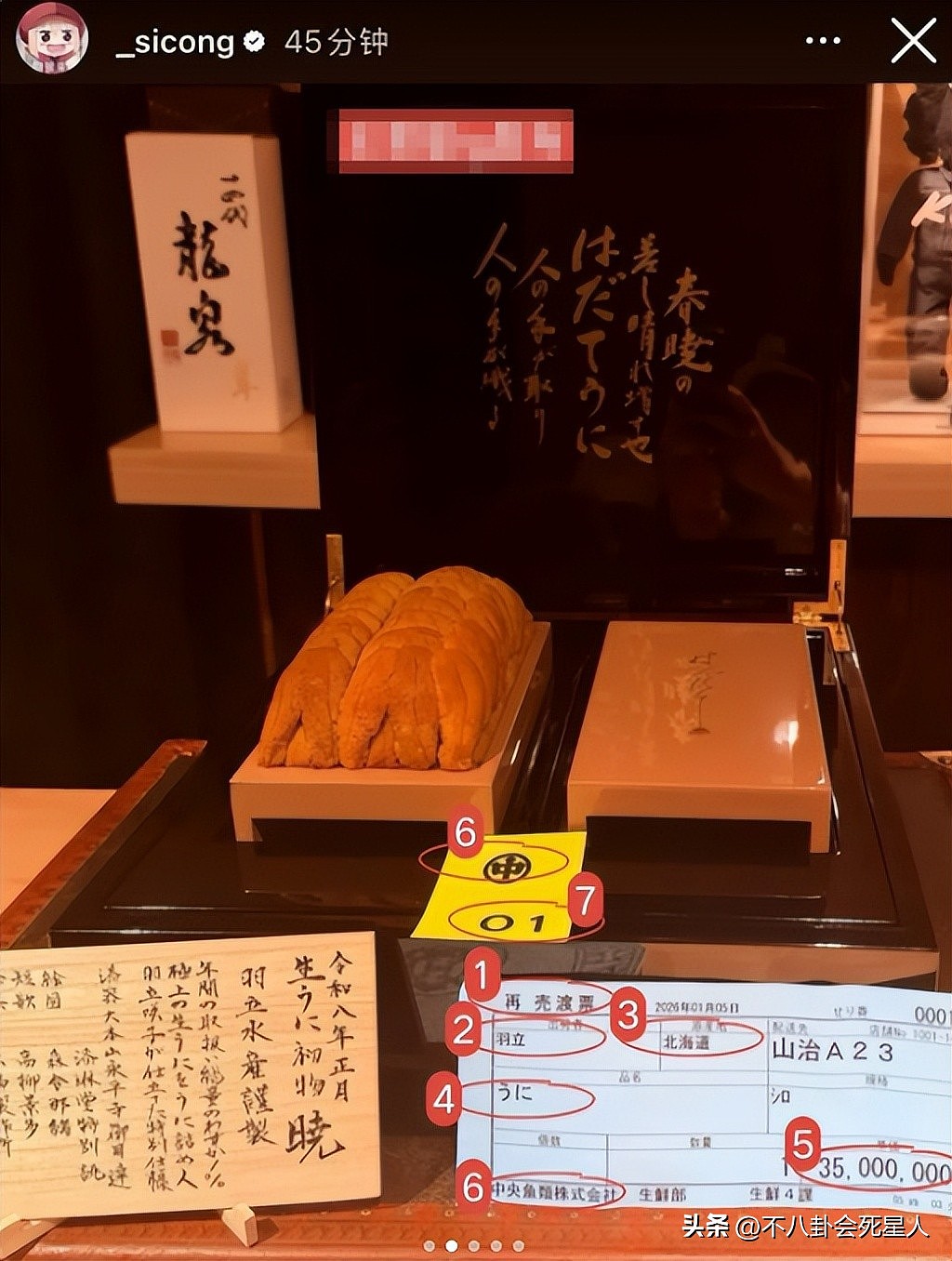 王思聪百万买下海胆之王，堪比一口一套房（图） - 2