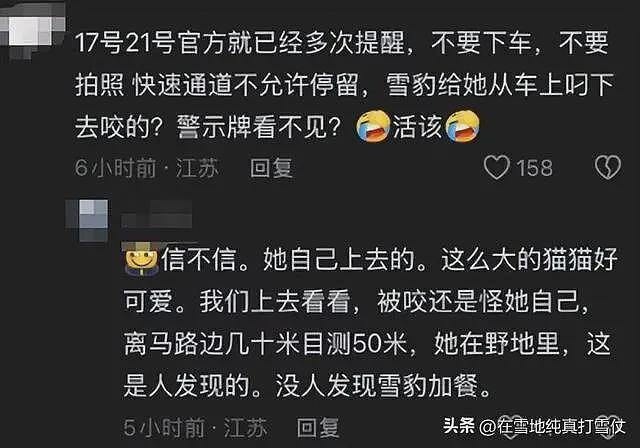 雪豹伤人真相曝光:不是偶遇是送命!当事人撒谎,航拍图还原真相(组图) - 18