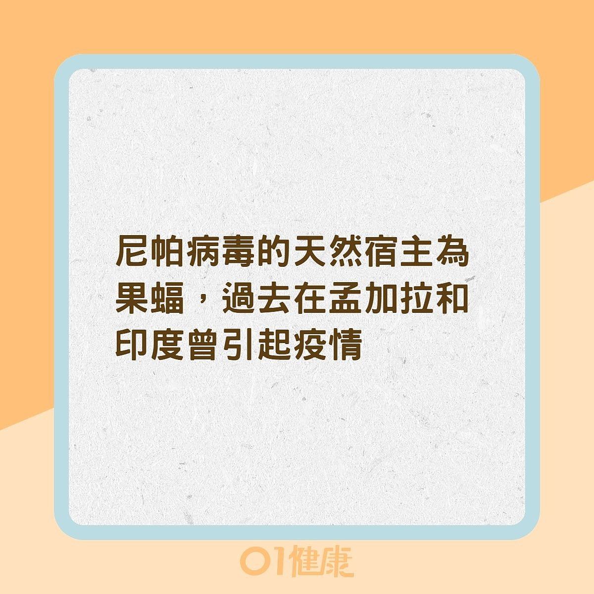医生：尼帕病毒与新冠同属RNA病毒可气溶胶传播，身处华南要小心（组图） - 7