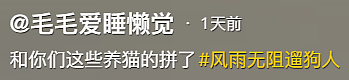 【宠物】养猫人为了让猫陪自己睡觉,居然用这种手段!网友:多宠咪,谁能分得清你和爱因斯坦呢(组图) - 11
