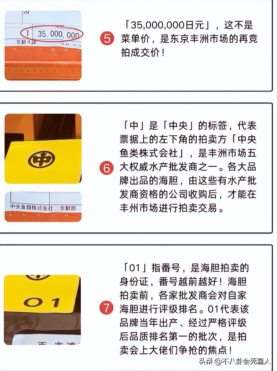 王思聪百万买下海胆之王，堪比一口一套房（图） - 3
