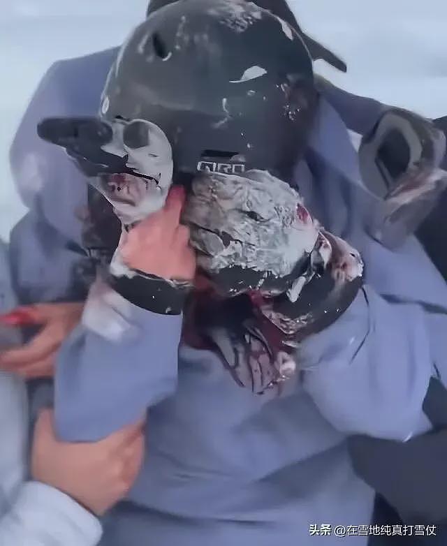 雪豹伤人真相曝光:不是偶遇是送命!当事人撒谎,航拍图还原真相(组图) - 8