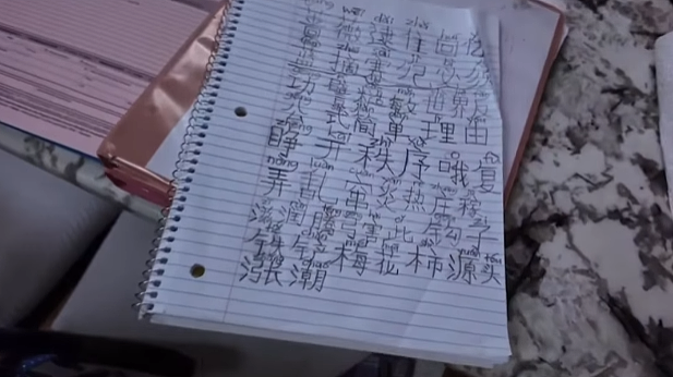 紧急寻人！15岁华裔男孩赴纽约后失联，妈妈含泪求助全网扩散（组图） - 13