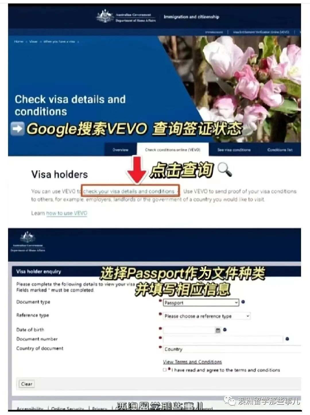 澳洲留学丨学生签证/续签保姆级攻略强势来袭,咱们Step by step慢慢来(组图) - 1