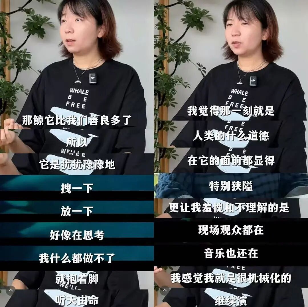 全网围观“雪豹咬人、狼王爱人”,人类对动物最残酷的一面却被忽略了(组图) - 2