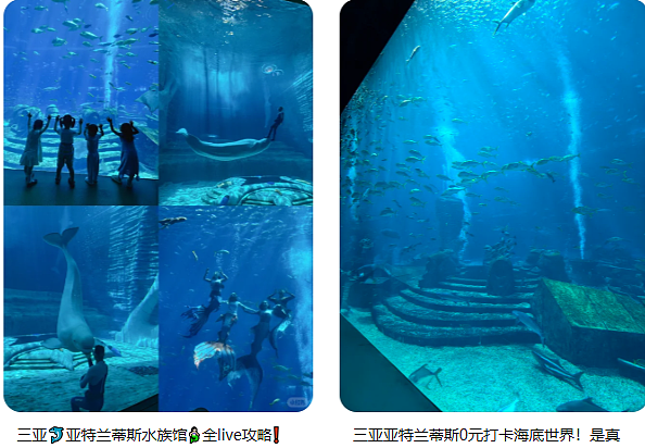 全网围观“雪豹咬人、狼王爱人”,人类对动物最残酷的一面却被忽略了(组图) - 6