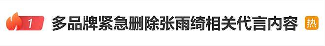 张雨绮多个商务代言被取消，被实名举报代孕、插足婚姻（组图） - 1