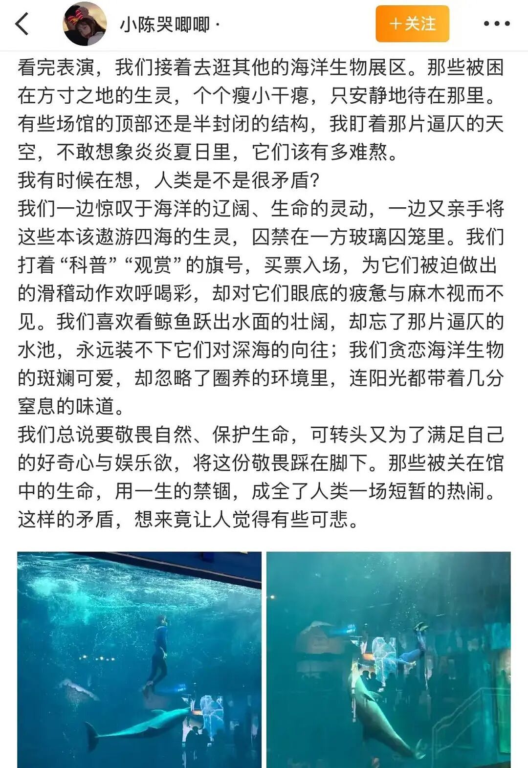 全网围观“雪豹咬人、狼王爱人”,人类对动物最残酷的一面却被忽略了(组图) - 8