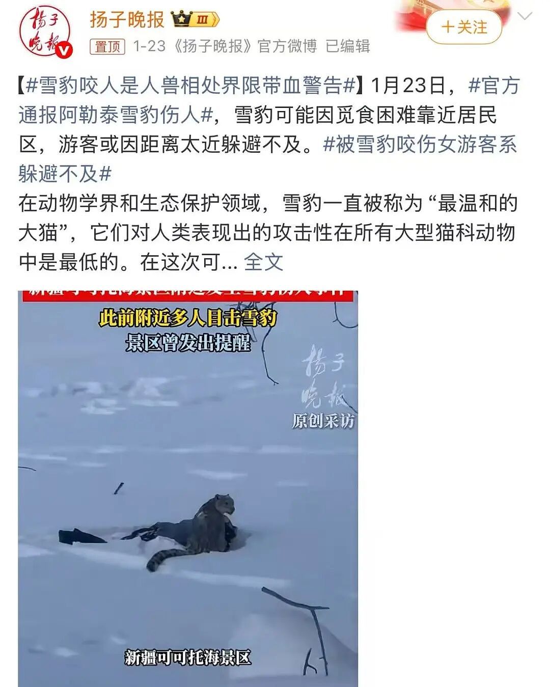 全网围观“雪豹咬人、狼王爱人”,人类对动物最残酷的一面却被忽略了(组图) - 1