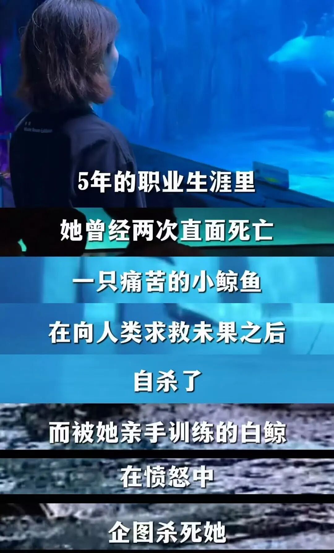 全网围观“雪豹咬人、狼王爱人”,人类对动物最残酷的一面却被忽略了(组图) - 3