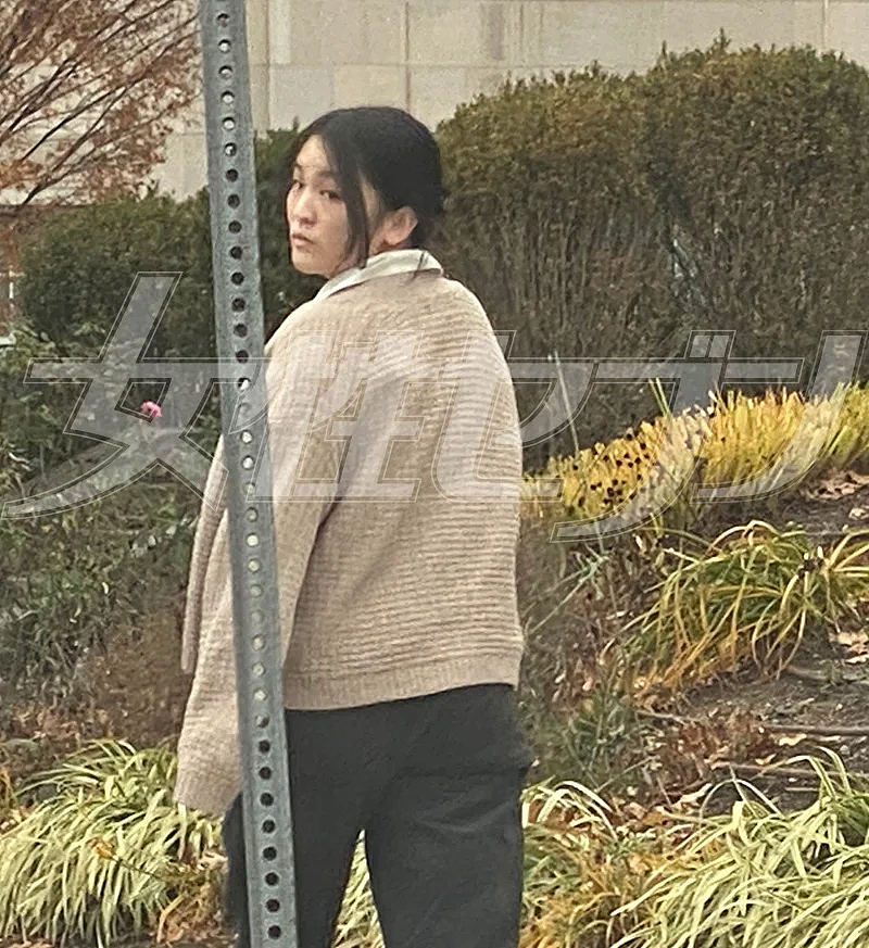 日本真子公主产后拼事业?小室圭年入千万负责带娃做家务接送她(组图) - 5