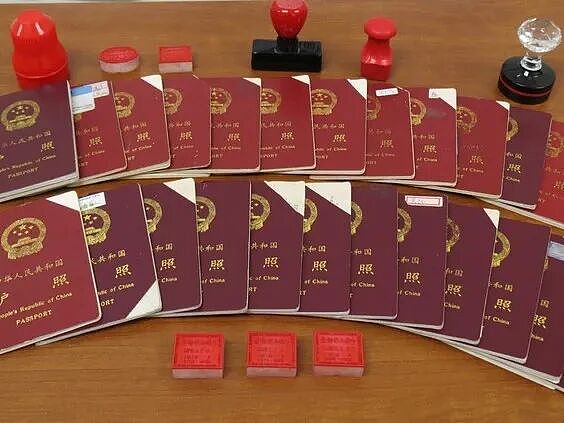 全面清算！ 加拿大数千名华人花钱走“移民捷径“被撤销PR、强制遣返！ 细节曝光（组图） - 2