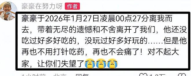 10岁抗癌小王子豪豪去世,后事安排、遗愿曝光,爸爸哭红了眼(组图) - 3