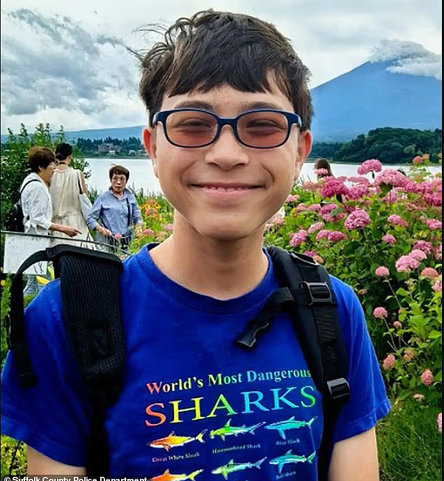 紧急寻人！15岁华裔男孩赴纽约后失联，妈妈含泪求助全网扩散（组图） - 1
