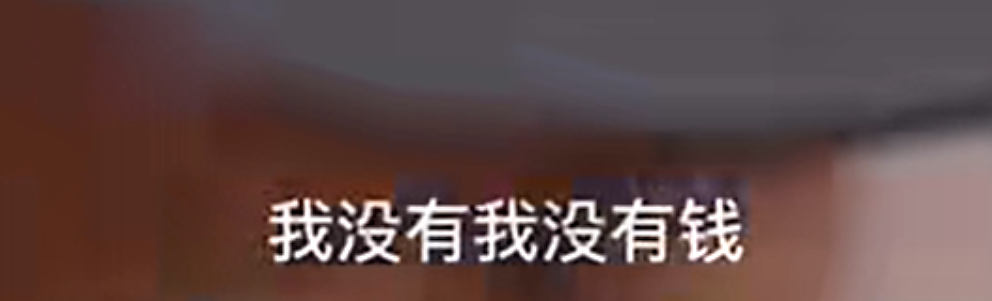 13名华人刚落地国外就被全部扣下！集体上厕所、身藏巨额现金，事情很不简单…（组图） - 12