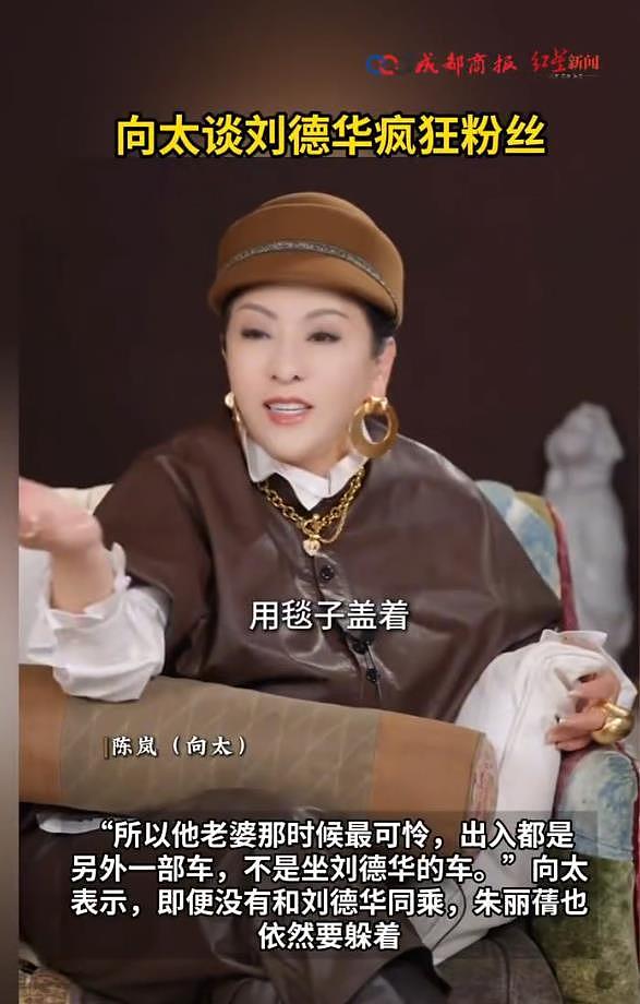 向太陈岚谈刘德华的“疯狂粉丝”：妻子朱丽蒨那时候最可怜（组图） - 3