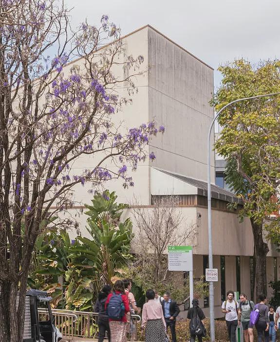 澳洲突然收紧印度学生签证！“100万份假文凭”暴雷，新西兰却要“敞开大门”（组图） - 2