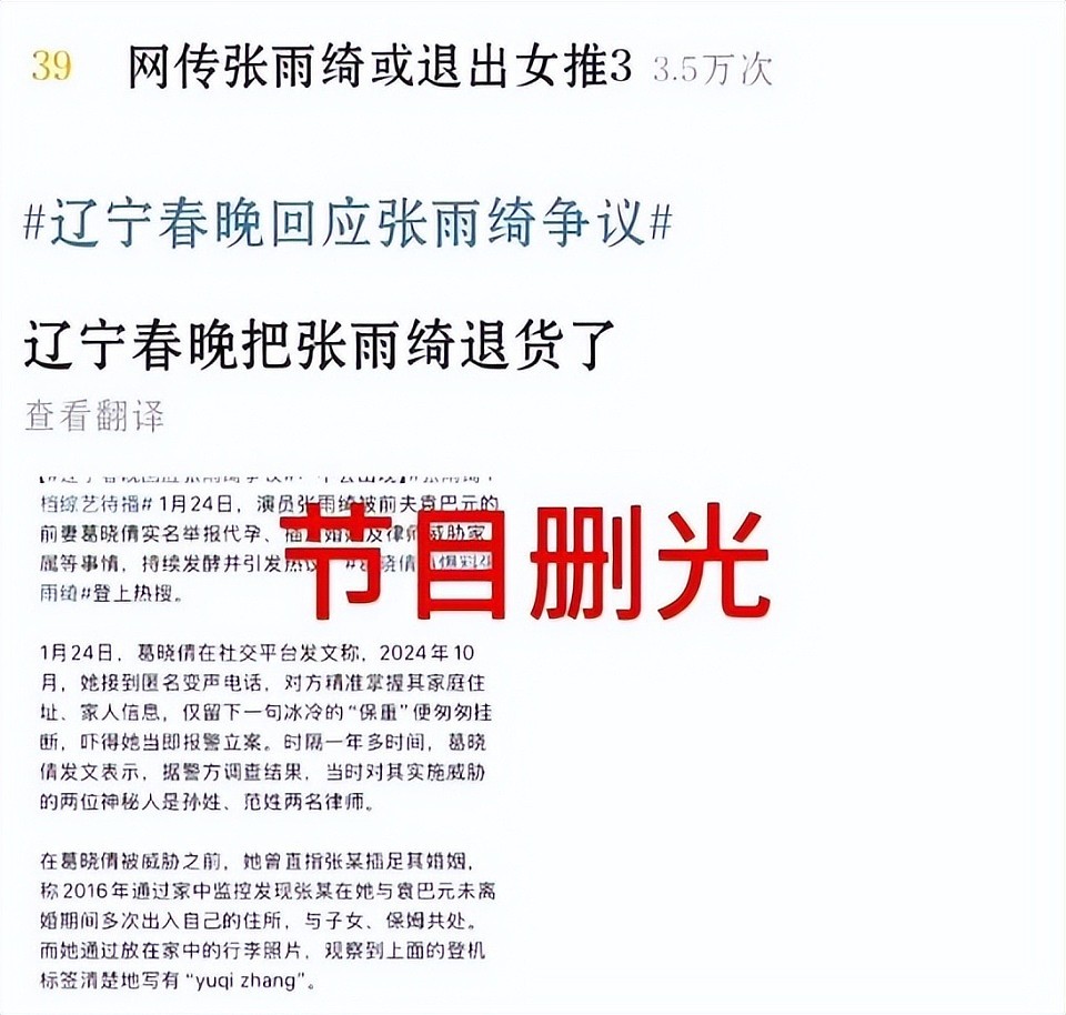 涉嫌插足、炫富、卖惨…荒唐事一箩筐,张雨绮这回彻底凉凉了?(组图) - 3