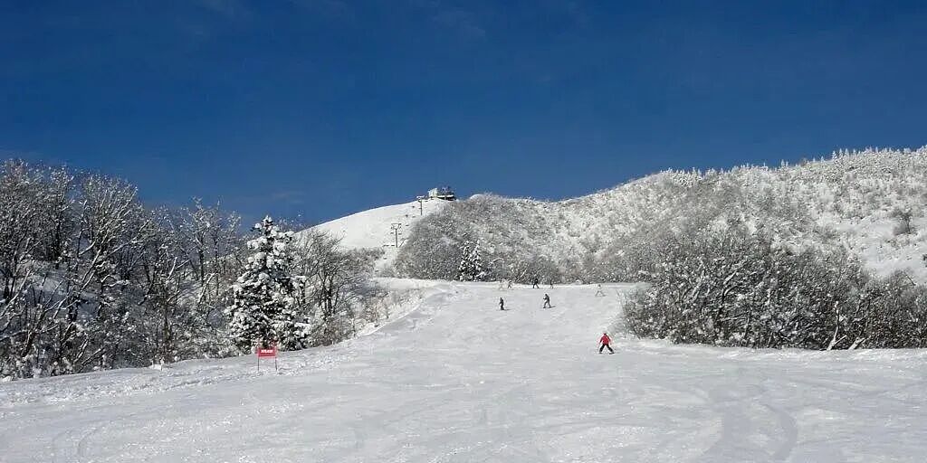 6名中国游客在日本滑野雪误入“死亡谷”，零下18度靠发小红书救命，折腾20小时终于…（组图） - 2