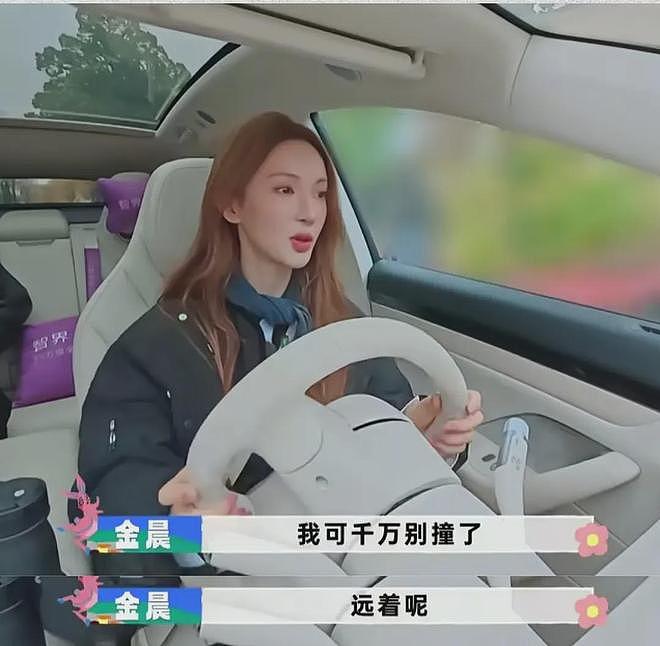 官媒发声！质疑金晨涉嫌酒驾或毒驾，保险公司都回应了，本人沉默（组图） - 4