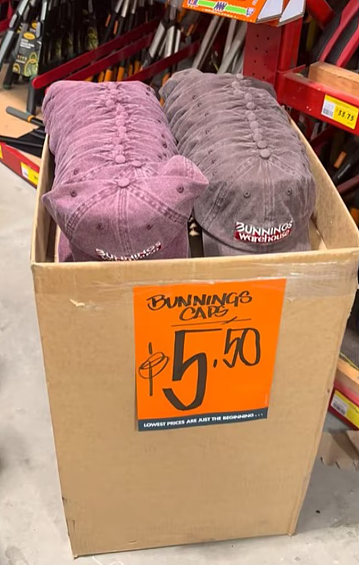 5.5刀！Bunnings 爆款出新色--澳洲人抢疯了（组图） - 1