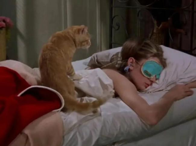 【涨知识】8小时睡眠其实是工业时代的产物(图) - 1