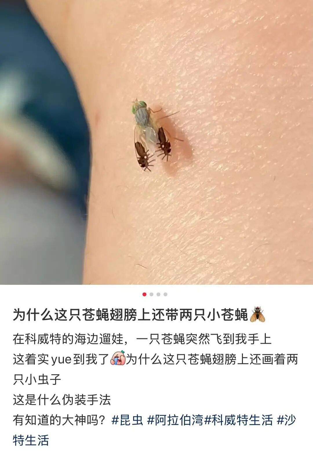 【爆笑】“员工拒绝年会表演被开除…？”哈哈哈，种了一年地的农民还得给地主表演节目！（组图） - 13