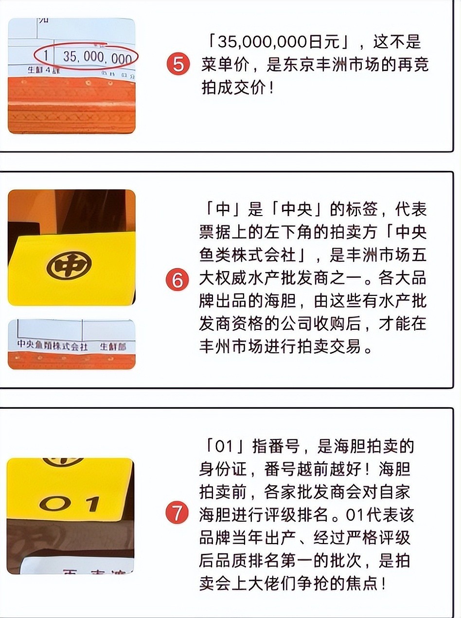 王思聪百万买下海胆之王,堪比一口一套房,老王家资产远超想象(组图) - 3