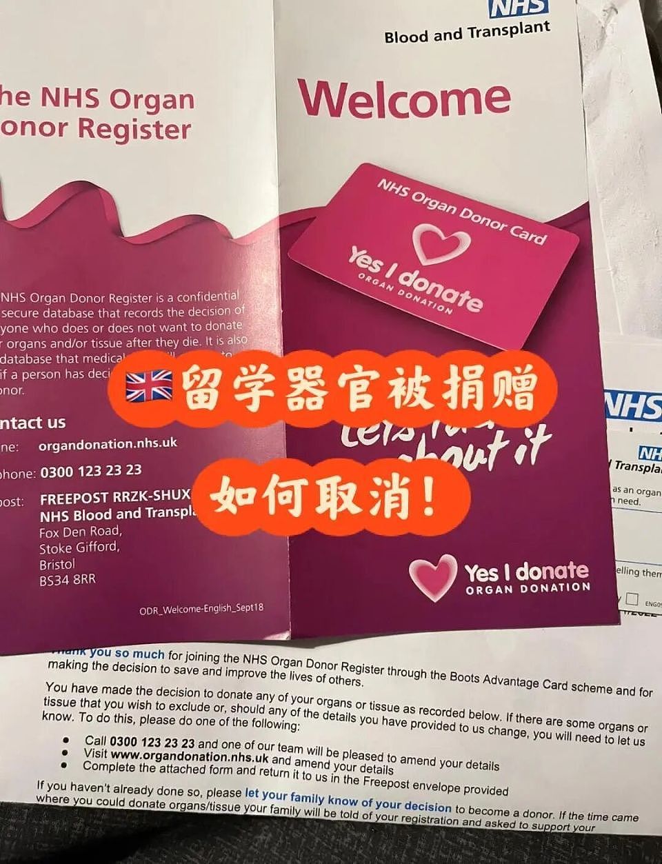 美国唯一禁食人州背后：49州默许的“尸体黑市”如何年赚百亿？（组图） - 19