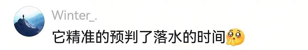 【宠物】狗子和主人当街暧昧，搂搂抱抱被网友拍下后，柴犬：令狗心寒的话不必再说（组图） - 5