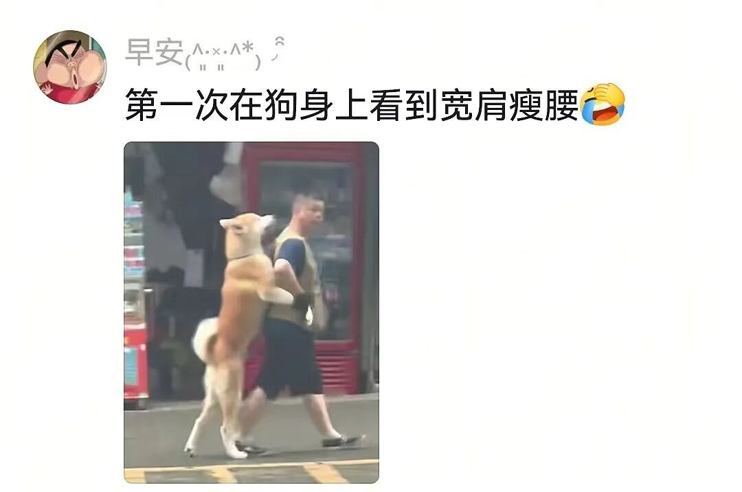 【宠物】狗子和主人当街暧昧，搂搂抱抱被网友拍下后，柴犬：令狗心寒的话不必再说（组图） - 16