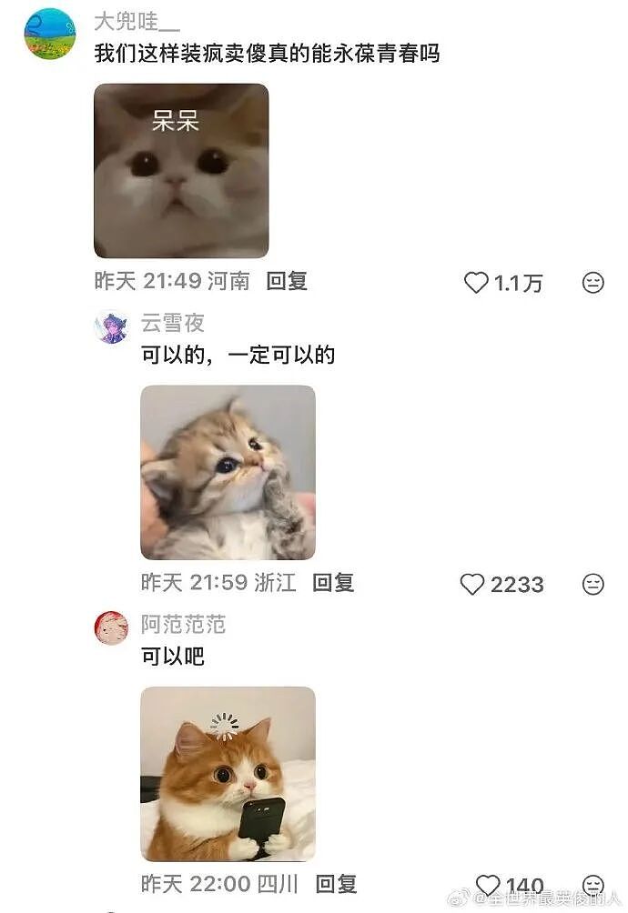 【爆笑】爱马仕出了一个2万元的狗狗碗？网友夺笋：等我身价上百亿就买！（组图） - 7