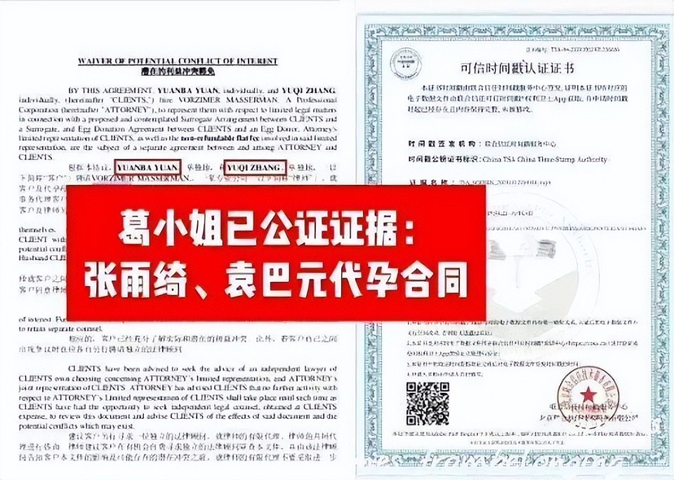 涉嫌插足、炫富、卖惨…荒唐事一箩筐,张雨绮这回彻底凉凉了?(组图) - 5