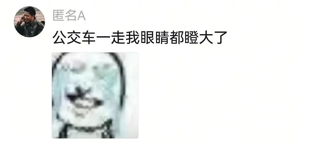 【宠物】狗子和主人当街暧昧，搂搂抱抱被网友拍下后，柴犬：令狗心寒的话不必再说（组图） - 10