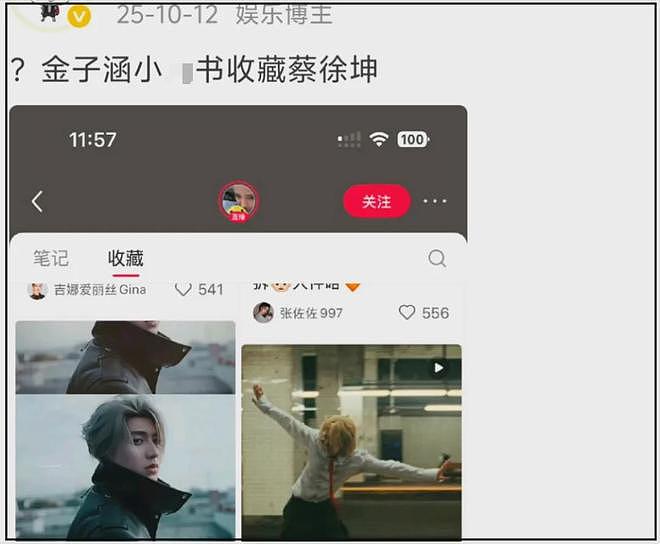 又有大瓜?金子涵拉黑蔡徐坤,女方抑郁退圈,男方被曝过私生活瓜(组图) - 12