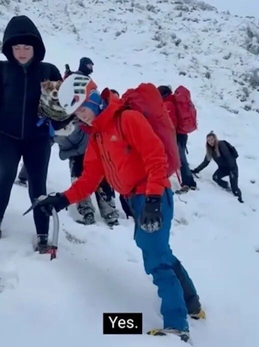 俩少年和五个大人雪山相遇,没想到大人才是菜鸡!小孩哥救完他们,顺手又救三波...(组图) - 9