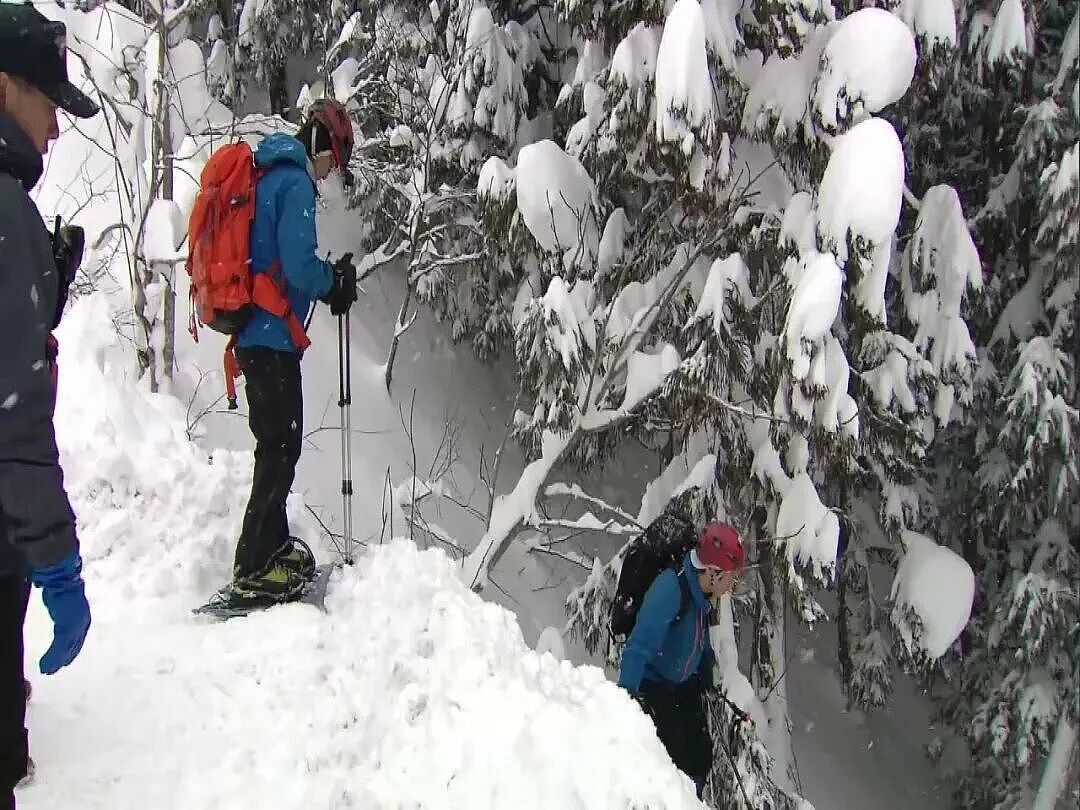 6名中国游客在日本滑野雪误入“死亡谷”，零下18度靠发小红书救命，折腾20小时终于…（组图） - 10