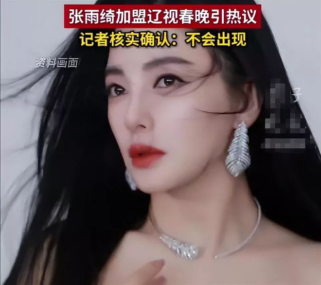 代孕只是冰山一角！38岁的张雨绮终为荒唐买了单（组图） - 18
