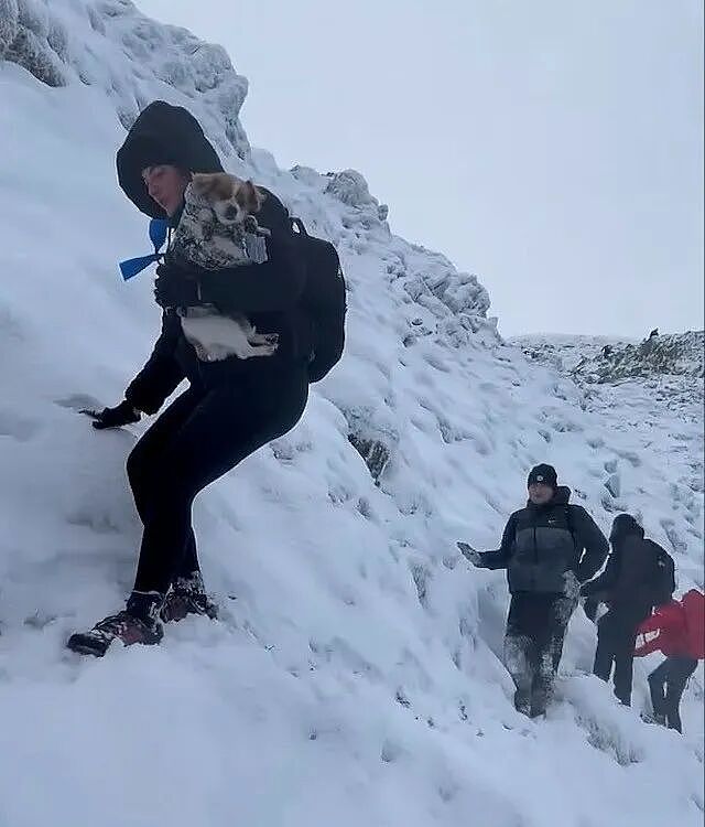 俩少年和五个大人雪山相遇，没想到大人才是菜鸡！小孩哥救完他们，顺手又救三波...（组图） - 4