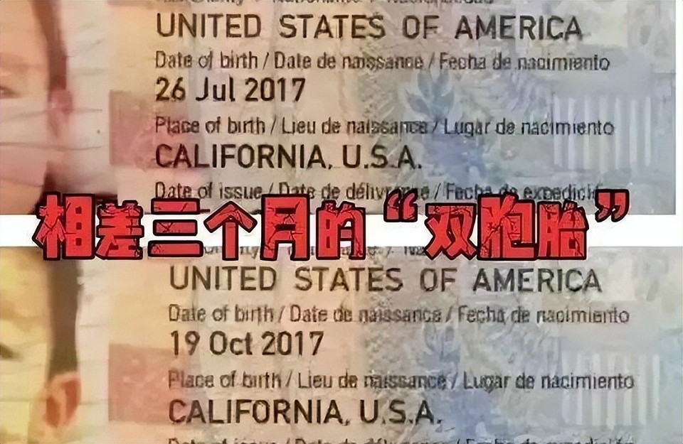 涉嫌插足、炫富、卖惨…荒唐事一箩筐,张雨绮这回彻底凉凉了?(组图) - 22