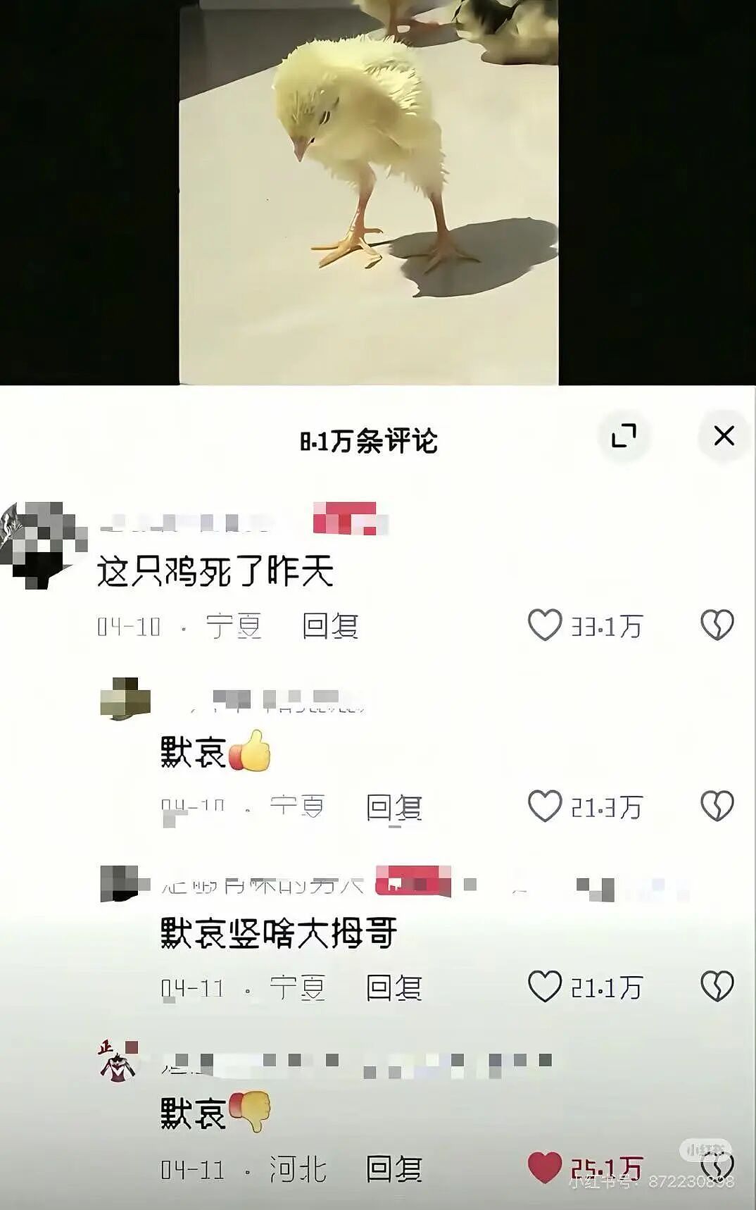 【爆笑】“员工拒绝年会表演被开除…？”哈哈哈，种了一年地的农民还得给地主表演节目！（组图） - 37