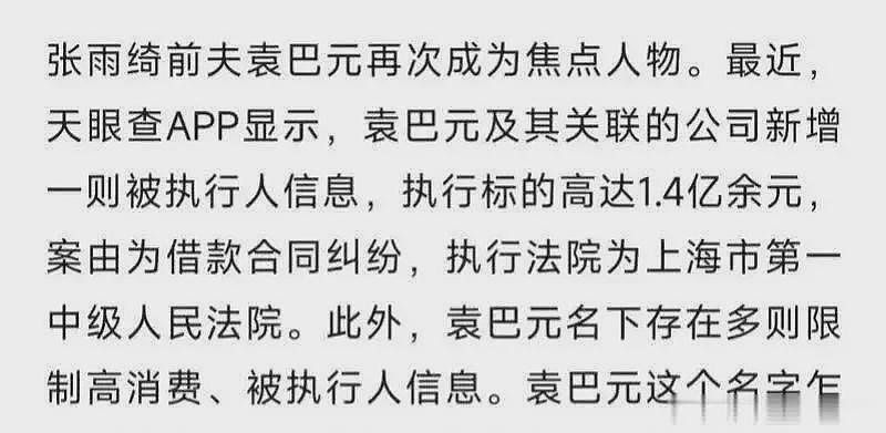 前夫女友曾曝张雨绮离婚原因！袁巴元生意失败10亿落空，公司未能成功上市（组图） - 8