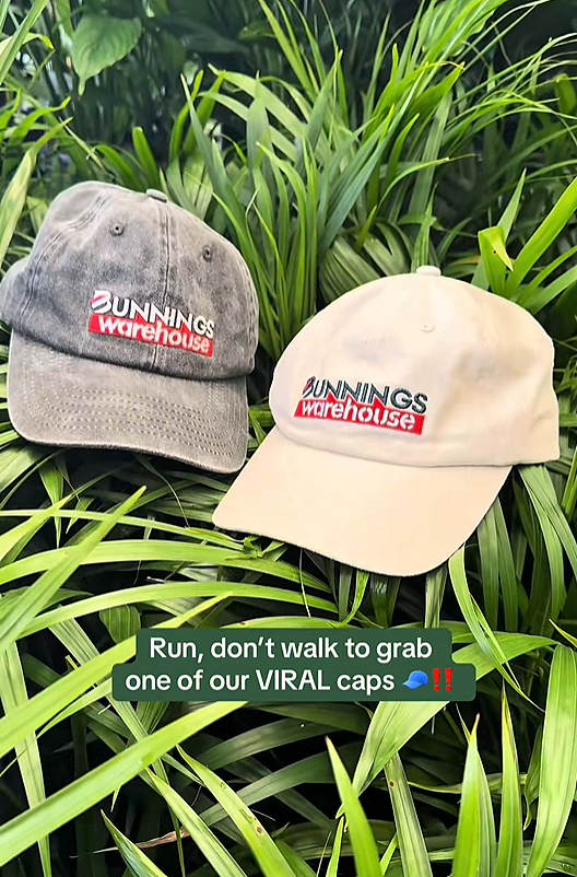 5.5刀！Bunnings 爆款出新色--澳洲人抢疯了（组图） - 2