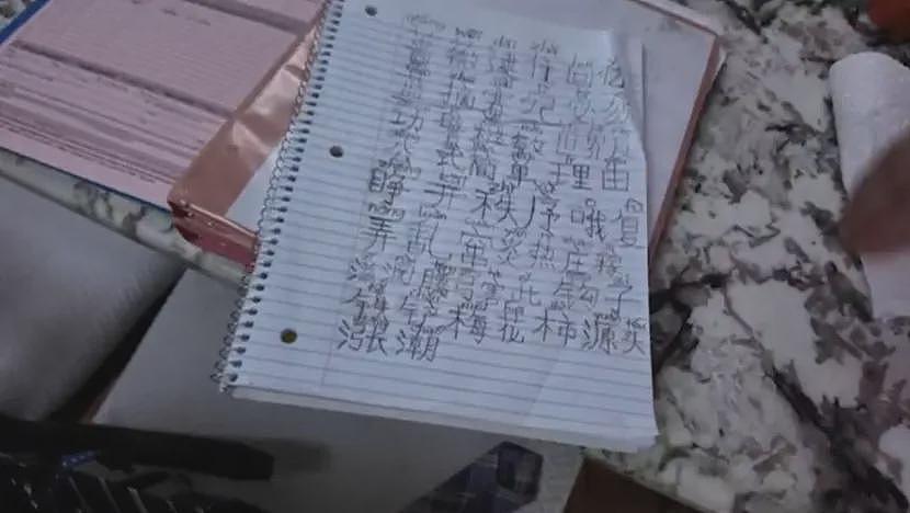 纽约急寻！华裔少年失踪逾两周，家人心急如焚，恐与这款风靡全美的游戏有关（组图） - 10