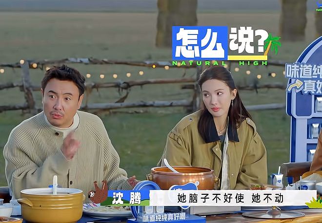 金晨太抠门！顶包还想理赔，和狗仔没谈拢被曝光，沈腾真说对了（组图） - 16