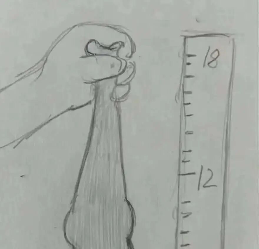【两性】别再吹嘘自己18厘米了，男性正常长度值，看看你及格了吗（组图） - 1