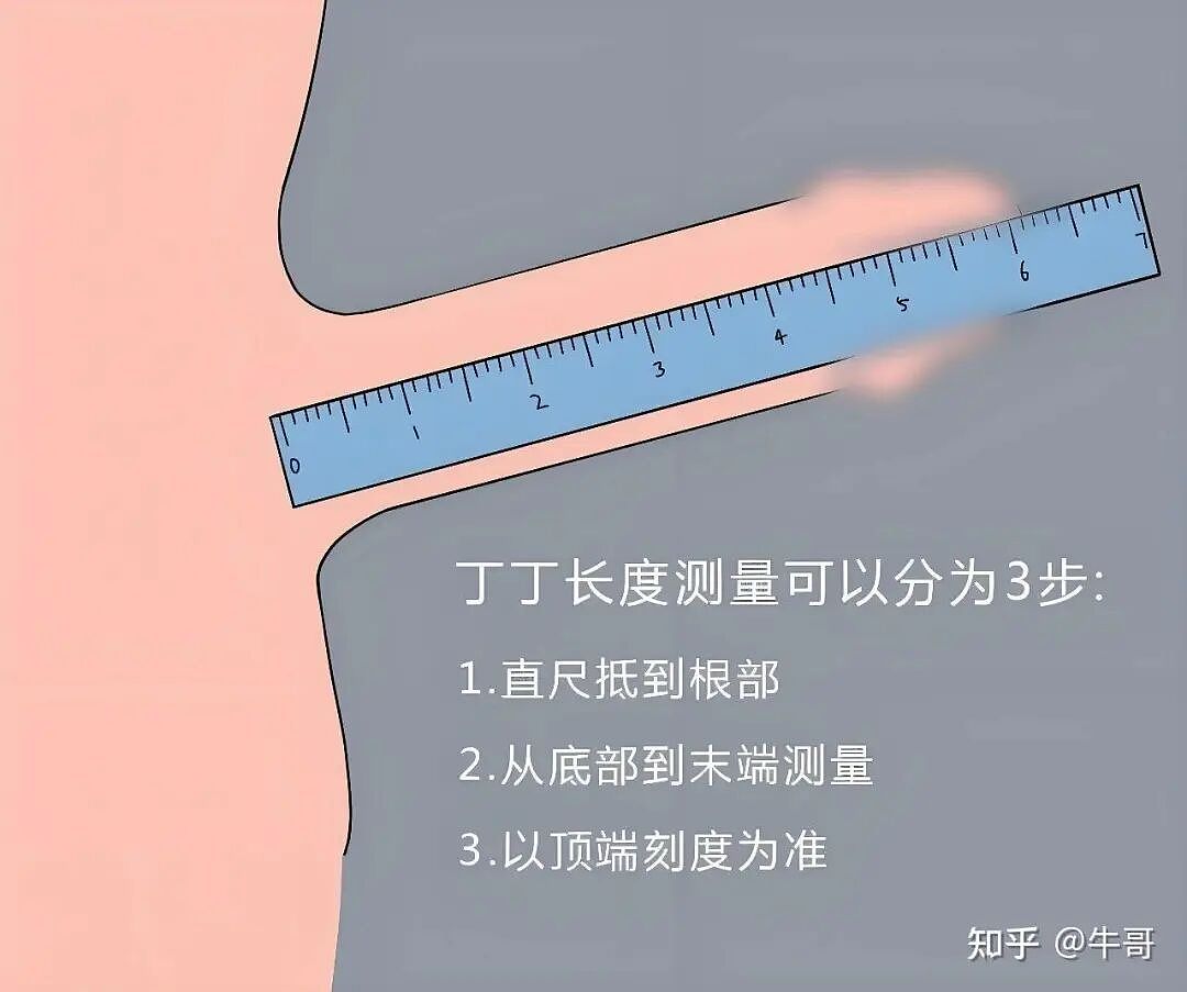 【两性】别再吹嘘自己18厘米了，男性正常长度值，看看你及格了吗（组图） - 3