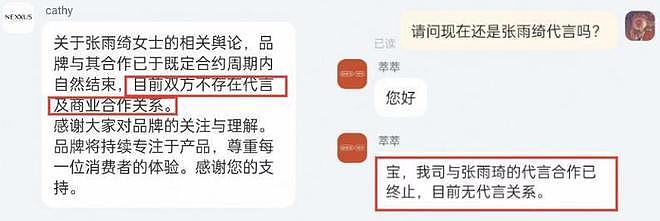 比吴秀波还惨?张雨绮丑闻曝光仅2天,春晚除名、代孕疑云,已无翻身可能?(组图) - 2